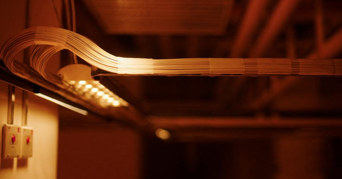 A ribbon of paper running through the rollers of a press, lit amber from below.